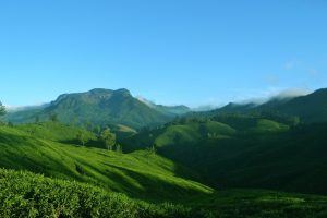 munnar-1639120_1920