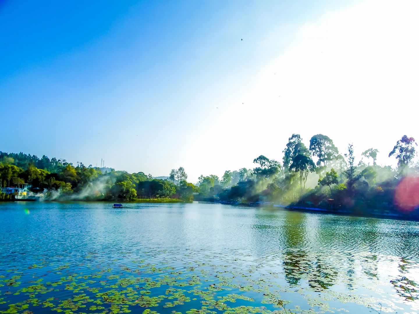 yercaud-lake